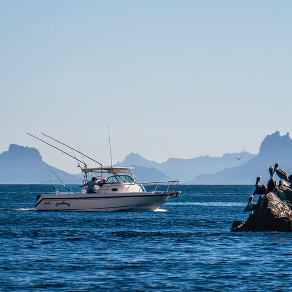 Pescar en la costa – SONORA, AVENTURAS Y ECOTURISMO